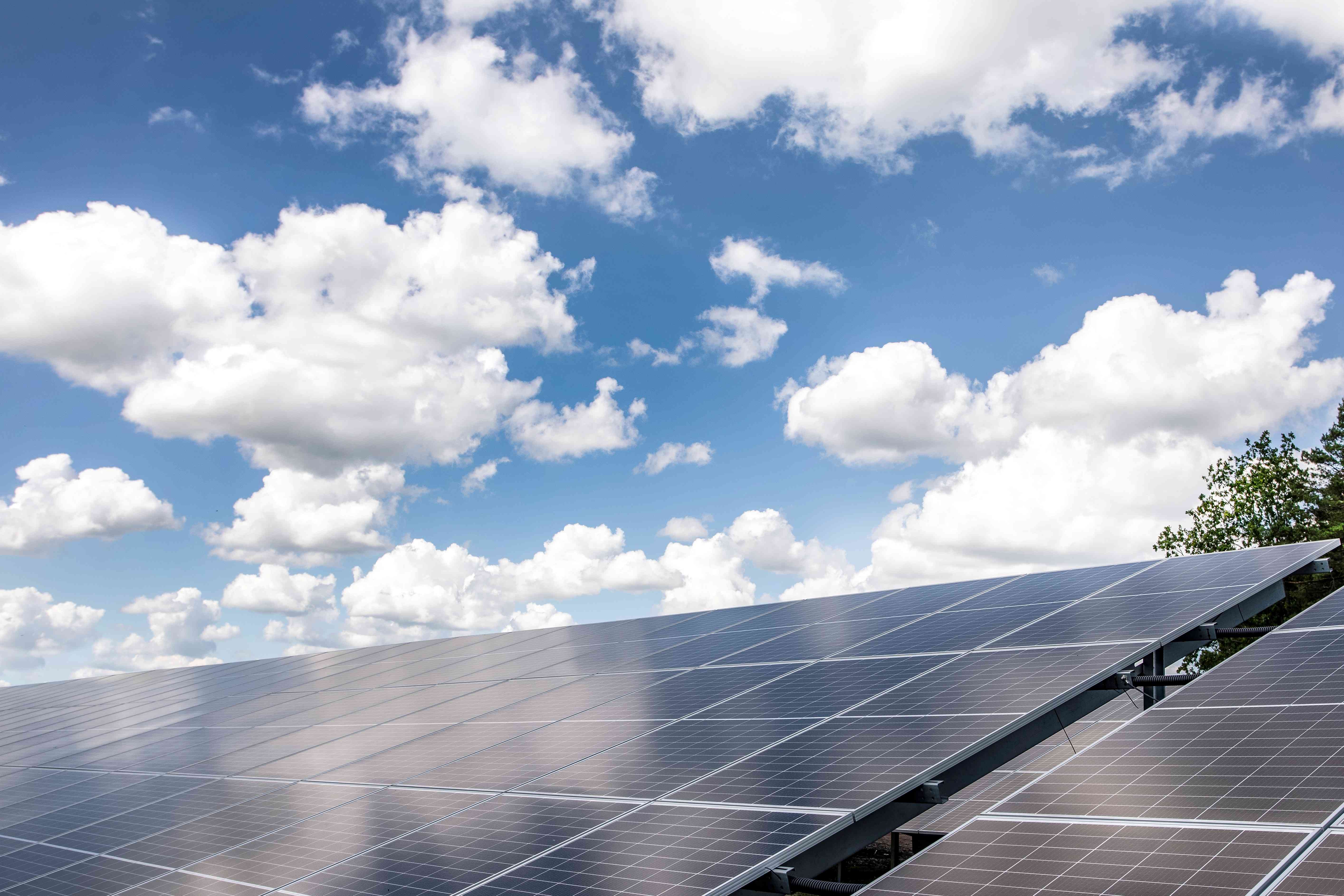 AkzoNobel signs power purchase agreement with Alight to build solar park in Sweden